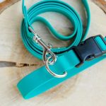 Evolution of Dog Collars Through History