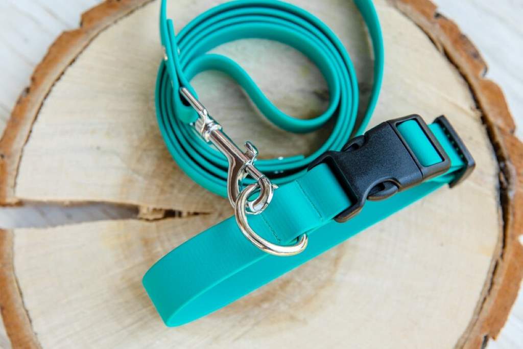 Evolution of Dog Collars Through History