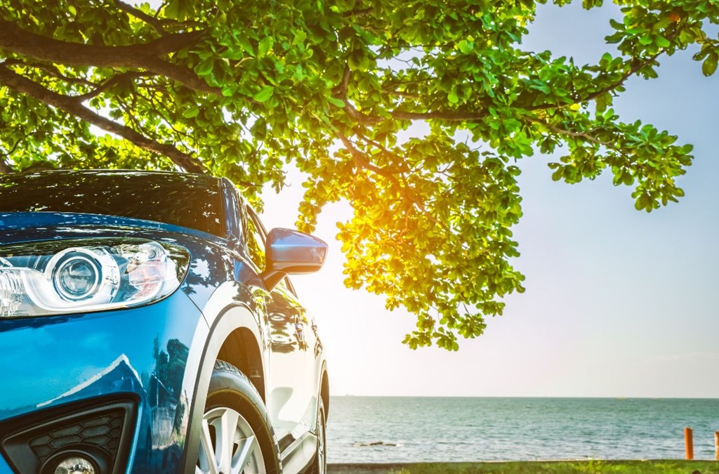 How do you get dried sap off a car without damaging paint?